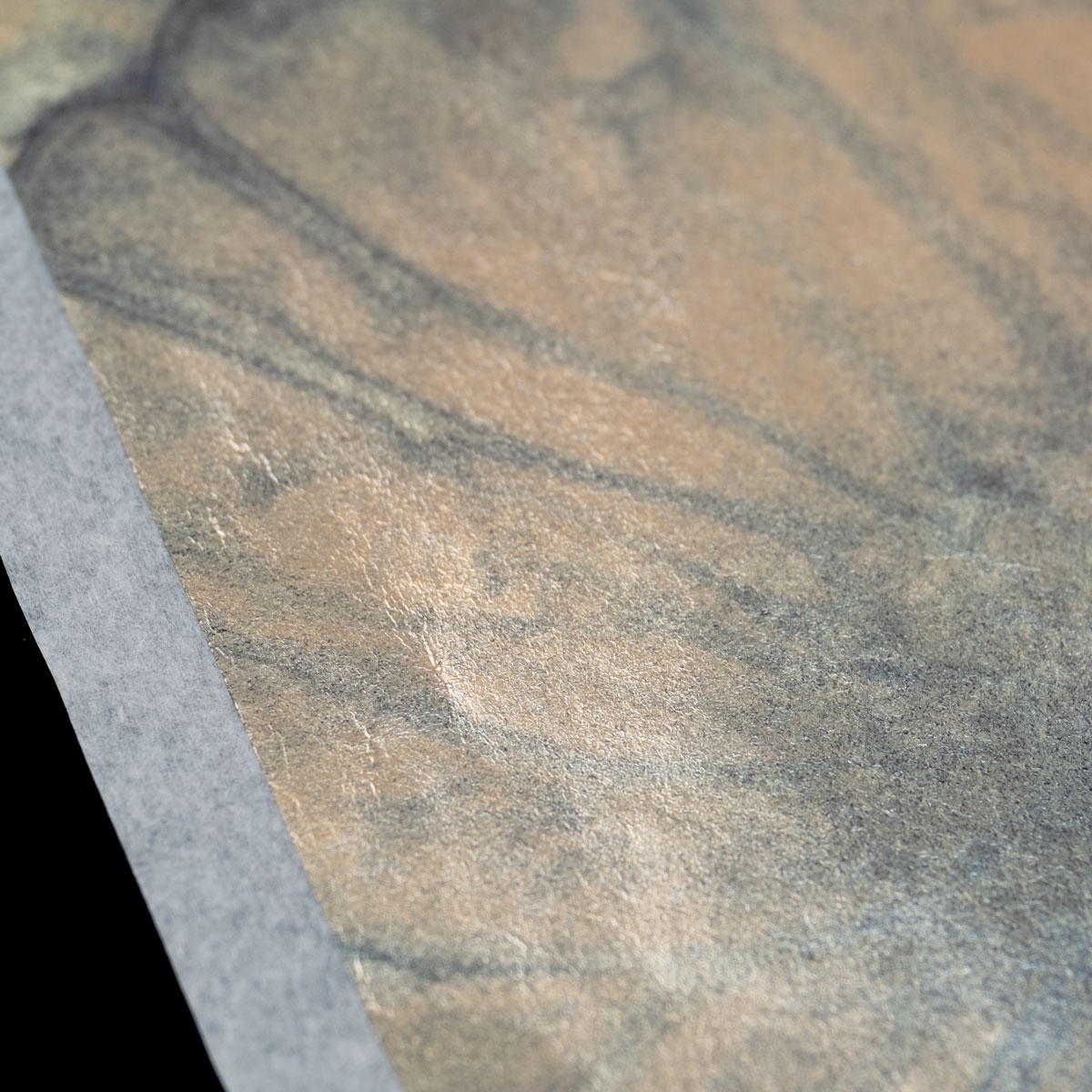 Noris Variegated Leaf - Transfer