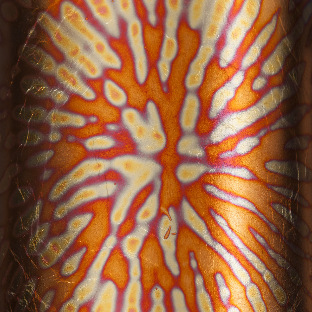 Series 2 - Loose