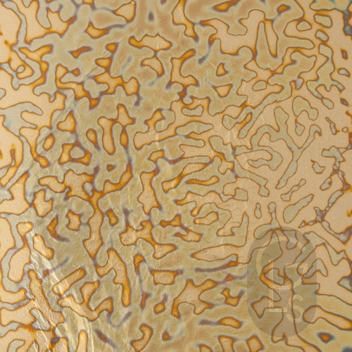 Variegated Loose Leaf - Series 2 - No. 15 - 140 x 140mm - 50 Leaf Booklet