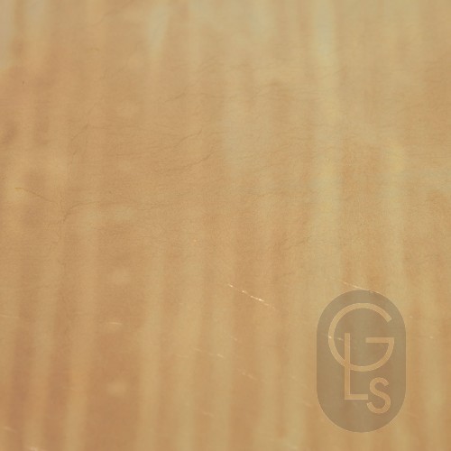 Variegated Transfer Leaf - Series 2 - No. 17 - 140 x 140mm - 25 Leaf Booklet