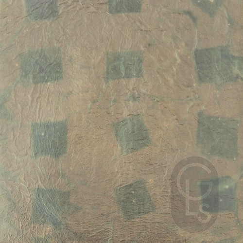 Variegated Transfer Leaf - No. 207 - 140 x 140mm - 25 Leaf Booklet