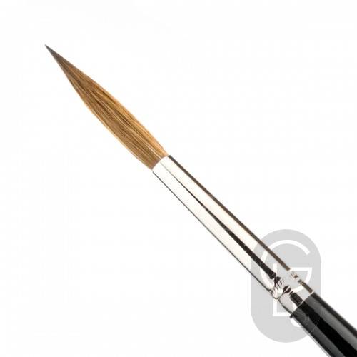 Pointed Writers - Pure Red Sable - Long Hair - Size 7