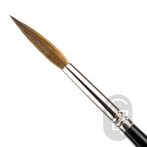 Pointed Writers - Pure Red Sable - Long Hair - Size 8