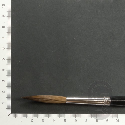 Pointed Writers - Pure Red Sable - Long Hair - Size 9