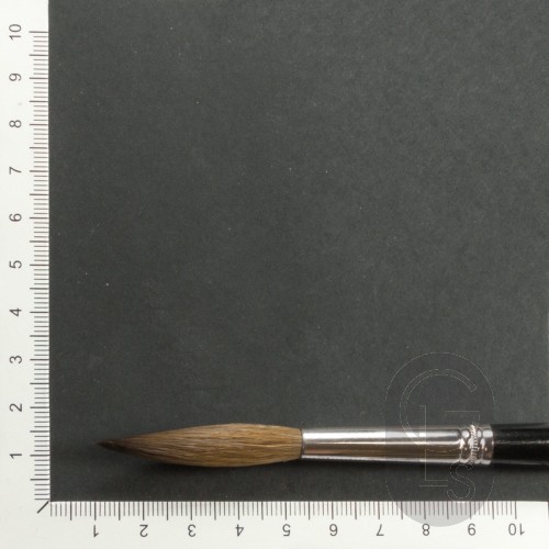 Pointed Writers - Pure Red Sable - Long Hair