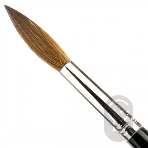Pointed Writers - Pure Red Sable - Long Hair - Size 12