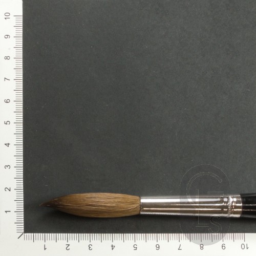 Pointed Writers - Pure Red Sable - Long Hair - Size 12