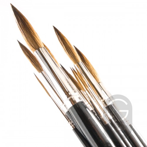 Pointed Writers - Pure Red Sable - Long Hair