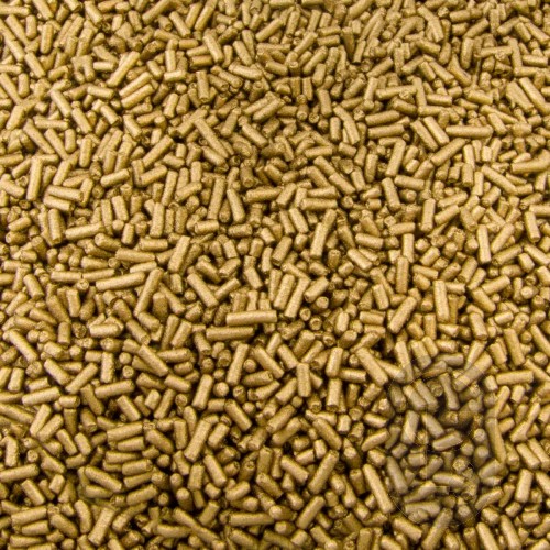 Water Based Bronze Powder Rich Gold - 200gm
