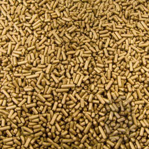 Water Based Bronze Powder Rich Gold - 25gm