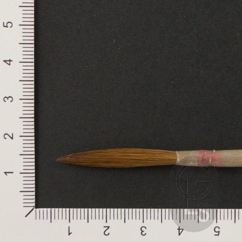 Sable Pointed Quill - Max.Hair - Small Goose - Size 5