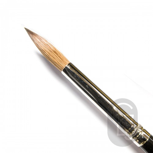 Artist Brush - Sable - Med. Hair - Size 8