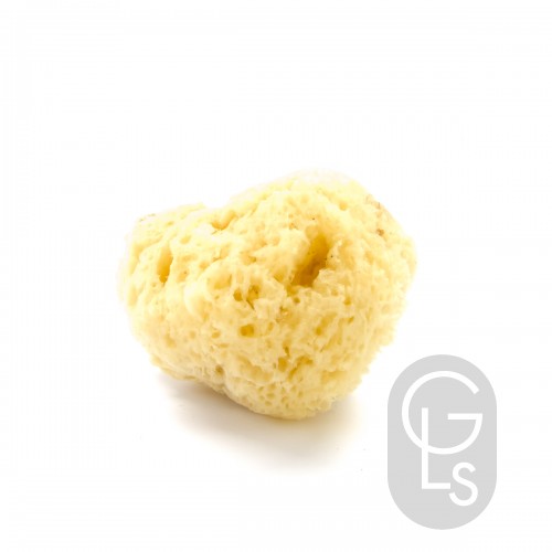 Natural Sea Sponge - Medium 4.5 - 5.5''