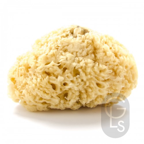Natural Sea Sponge - Extra Large 7''