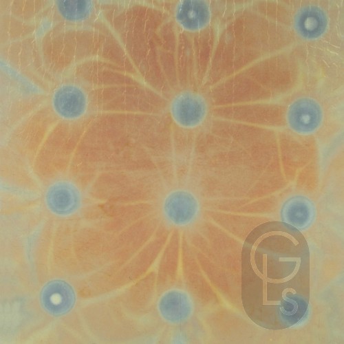Variegated Transfer Leaf - No. 265 - 140 x 140mm - 25 Leaf Booklet