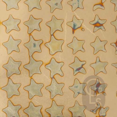 Variegated Loose Leaf - Series 2 - No. 7 - 140 x 140mm - 25 Leaf Booklet