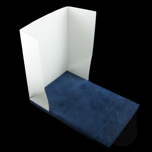 Professional Glass Gilding Kit with Book