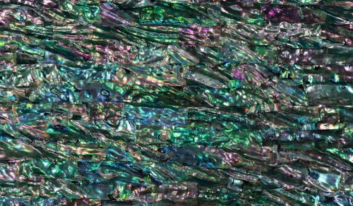 Abalone Sheet - Rainbow - 24 x 14cm