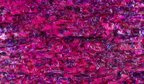 Abalone Sheet - Pink - 24 x 14cm