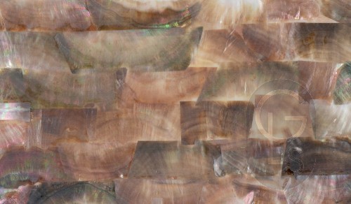 Mother of Pearl Sheet - Tawny Shell - 24 x 14 cm