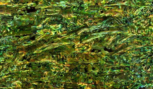 Abalone Sheet - Green-Gold - 24 x 14cm