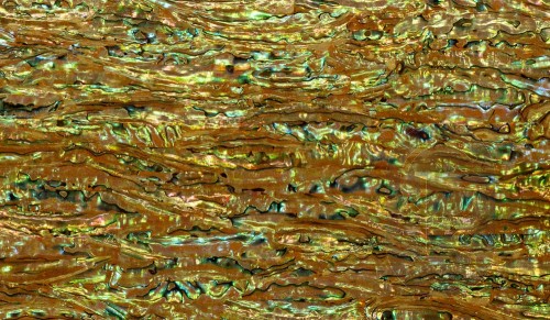 Abalone Sheet - Chameleon Green - 24 x 14cm