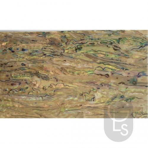 Abalone Sheet - Pale Natural - 24 x 14cm