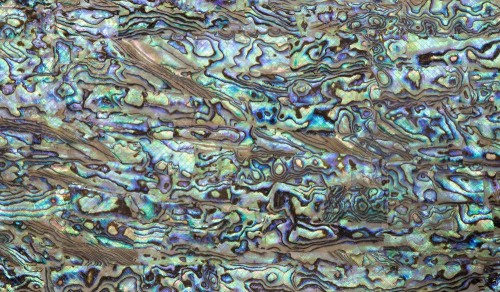 Abalone Sheet - Lilac - 24 x 14cm