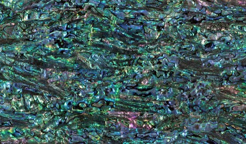 Flexible Abalone Sheet - Black Lacquered - 24 x 14cm
