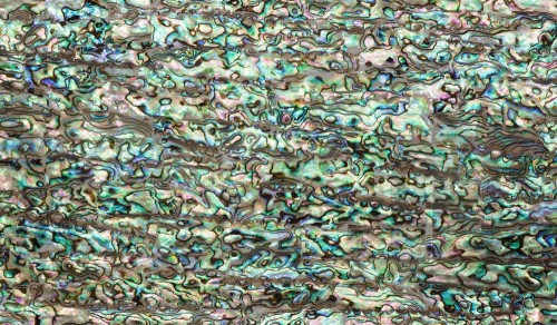 Flexible Abalone Sheet - Natural - 24 x 14cm