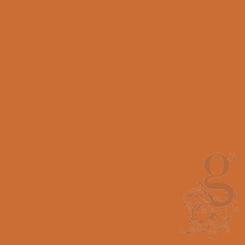 Raw Sienna Polyvine Colouriser - 50g - Ser1