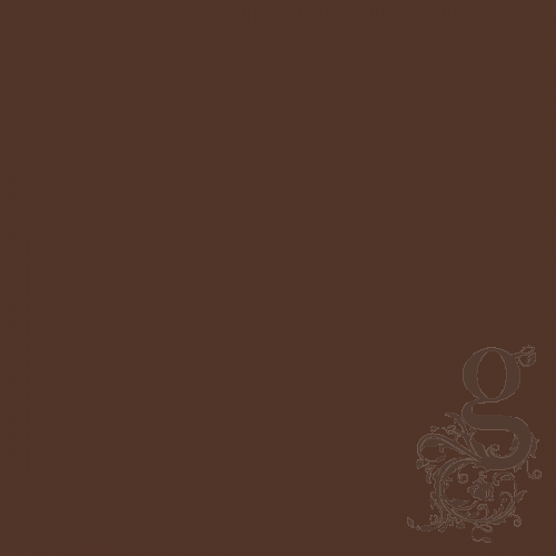 Alphanamel Chocolate Brown - 118ml