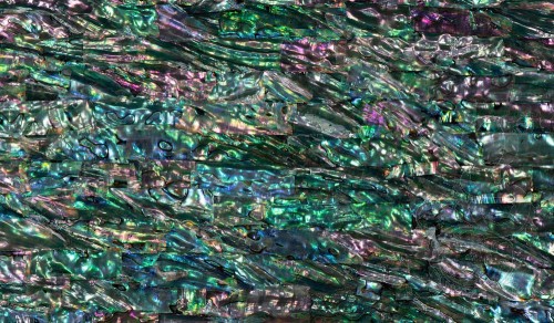 Abalone Sheet - Rainbow - 24 x 14cm
