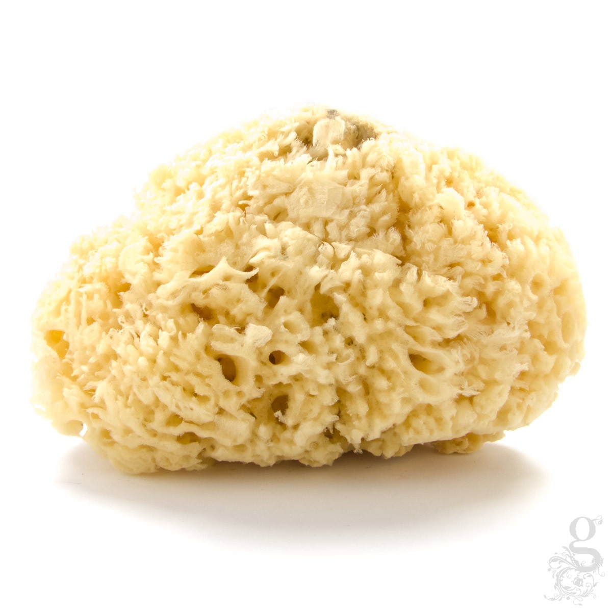 Natural Sea Sponge Extra Large 7 inch