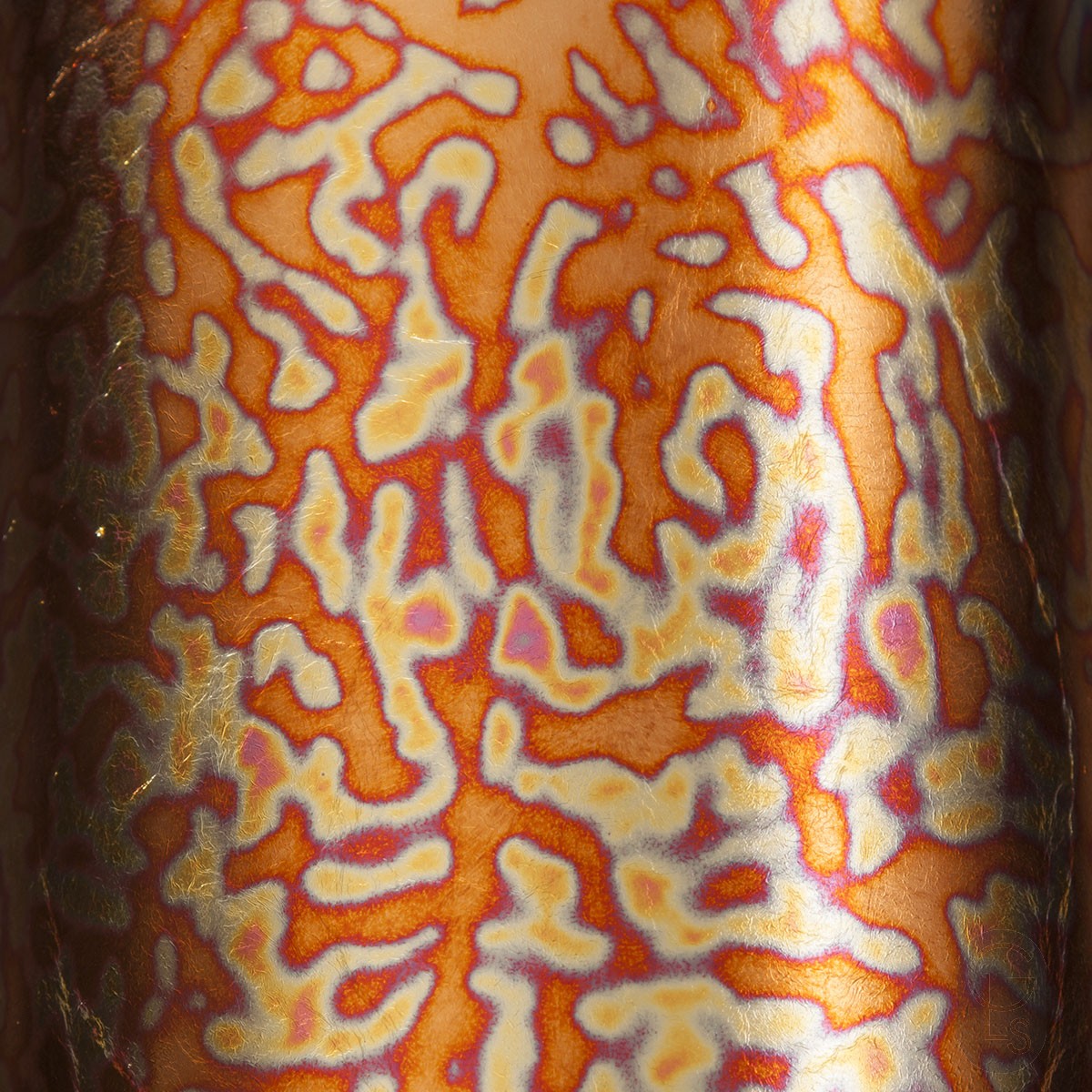 Variegated Transfer Leaf - Series 2 - No. 16
