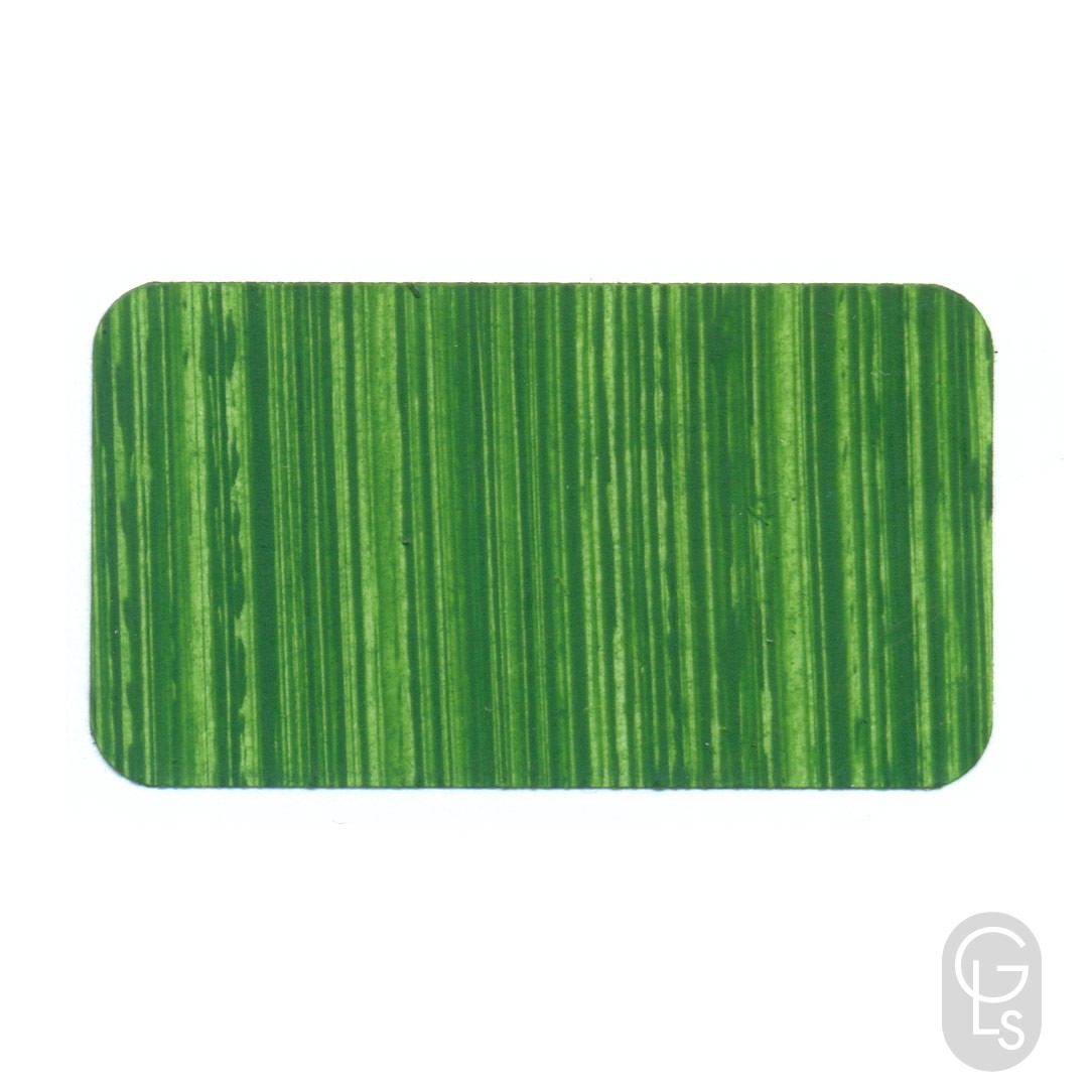 Roberson 'Charles' Oil Colour - Sap Green