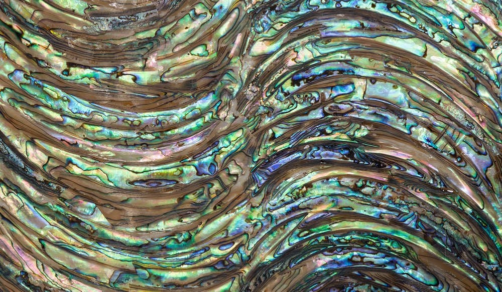 Flexible Abalone Sheet - Wave