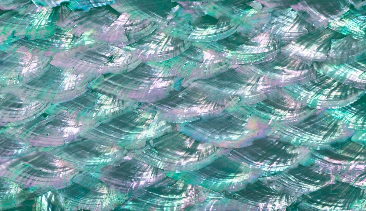 Abalone Sheet - Romantic Emerald Green Fan
