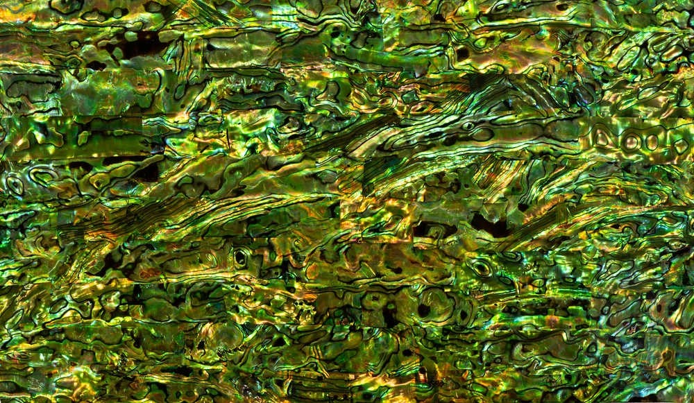 Abalone Sheet - Green-Gold