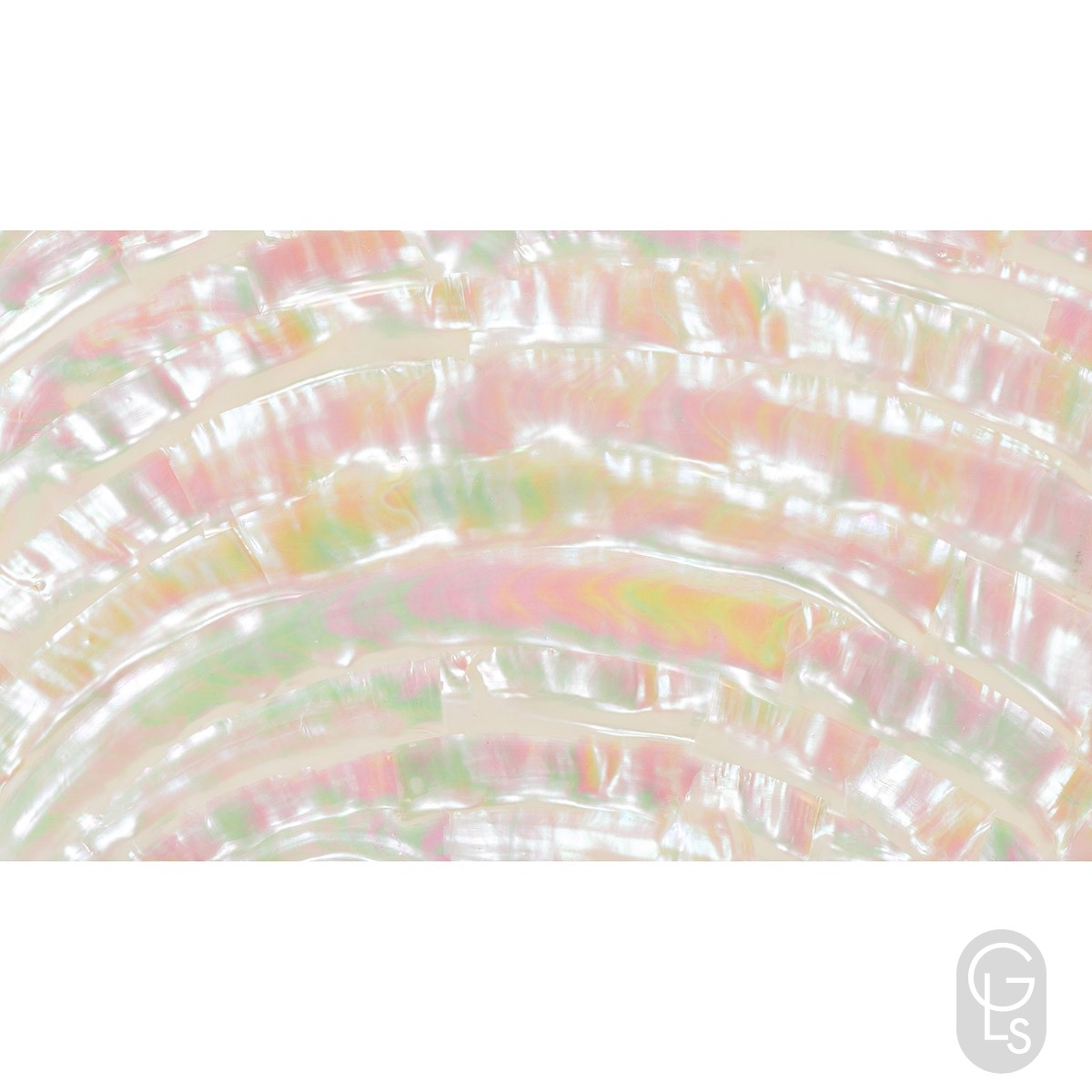Abalone Sheet - Turbo - 24 x 14 cm