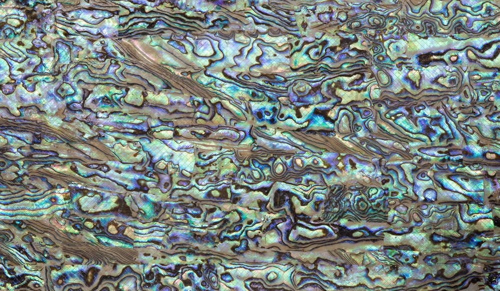 Abalone Sheet - Lilac