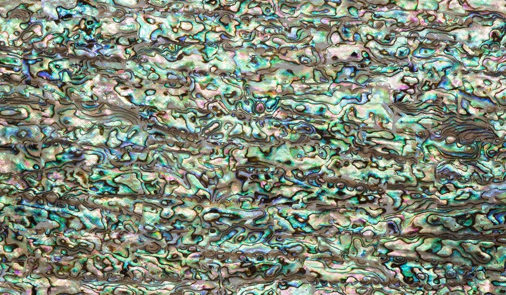 Flexible Abalone Sheet - Natural