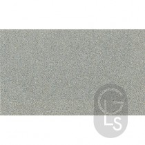 Metallic Paint - Silver No.6
