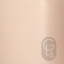 Coloured Loose Silver Leaf Pastel Colours - Champagne