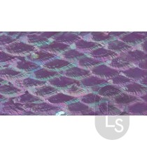 Abalone Sheet - Purple People-Eater Fan - 24 x 14 cm
