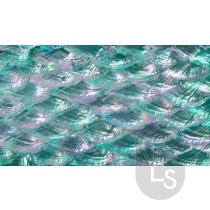 Abalone Sheet - Romantic Emerald Green Fan