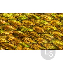 Abalone Sheet - Fan Antique Gold Gloss 