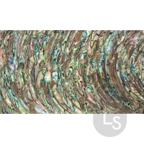 Flexible Abalone Sheet - Curve - 24 x 14cm