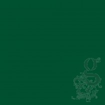 Pearlescent Enamel Paint - Dark Green - 236ml
