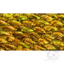 Abalone Sheet - Fan Antique Gold Gloss 